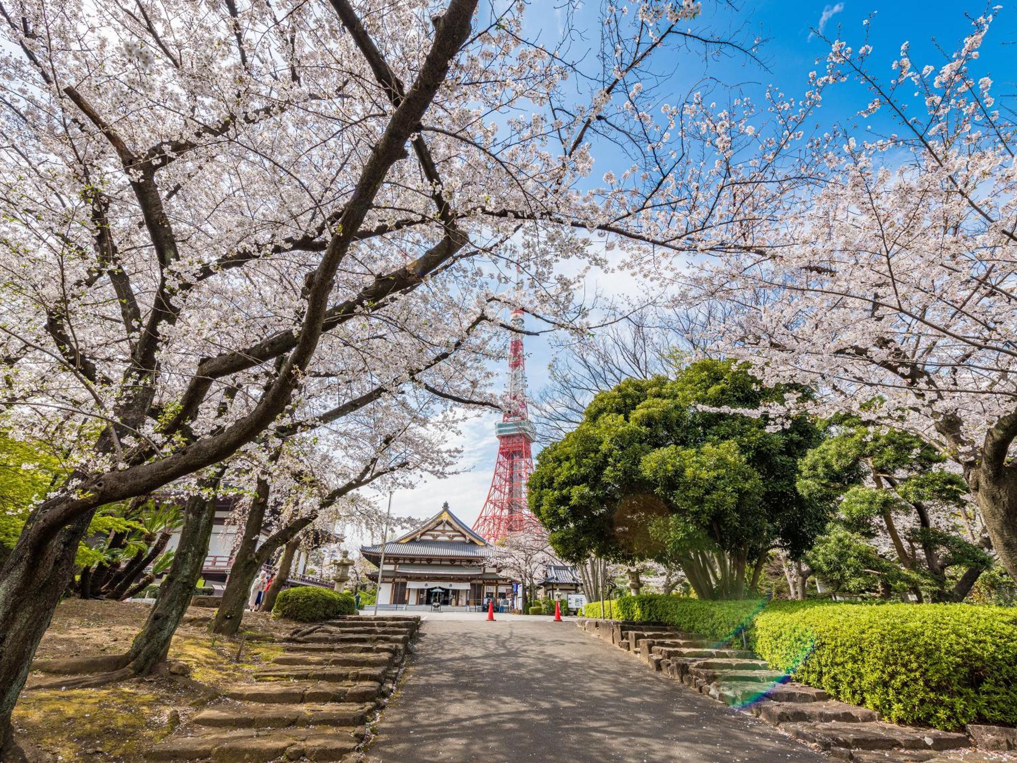 Illi Rom Hamamatsucho Hotell Tokyo Eksteriør bilde